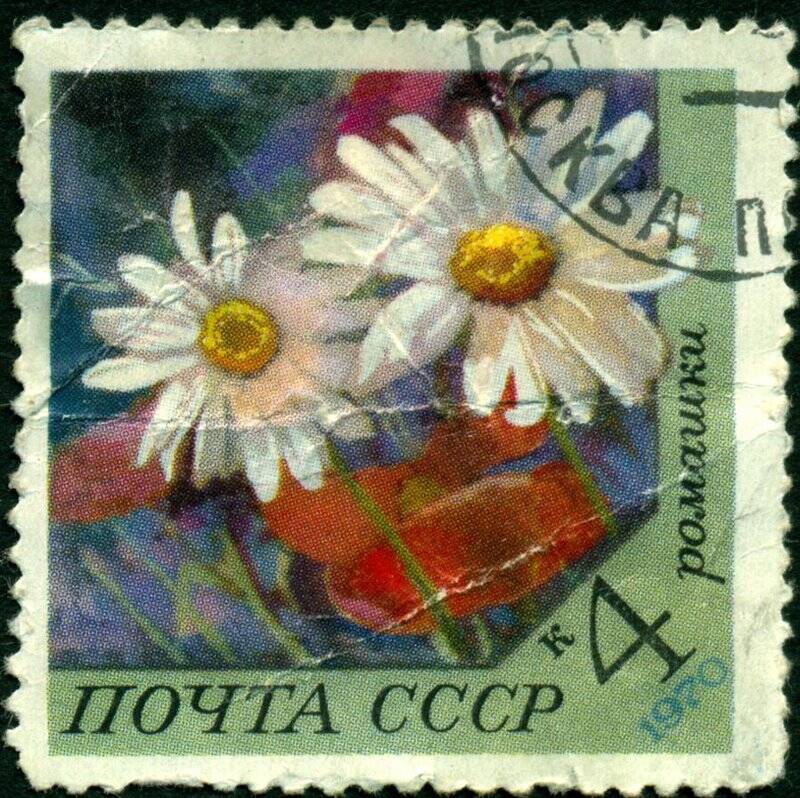 Марка почтовая. 1970 г. Достоинством 4 копейки. Ромашка.