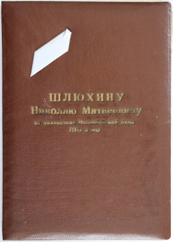 Адрес поздравительный Шлюхина Н.М.