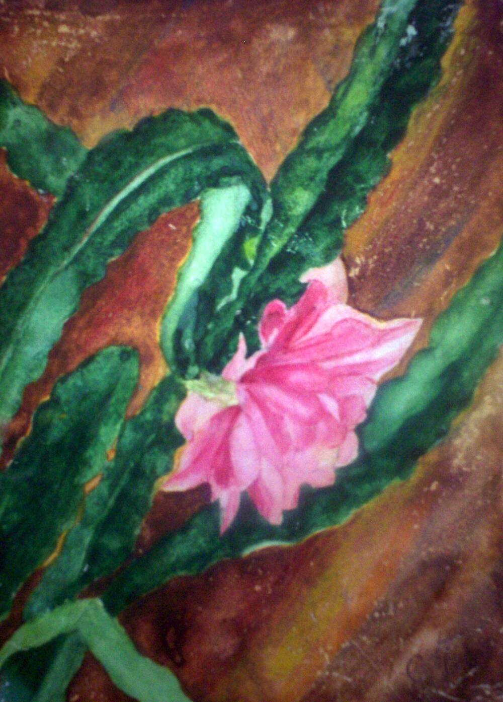 Картина Цветы кактуса