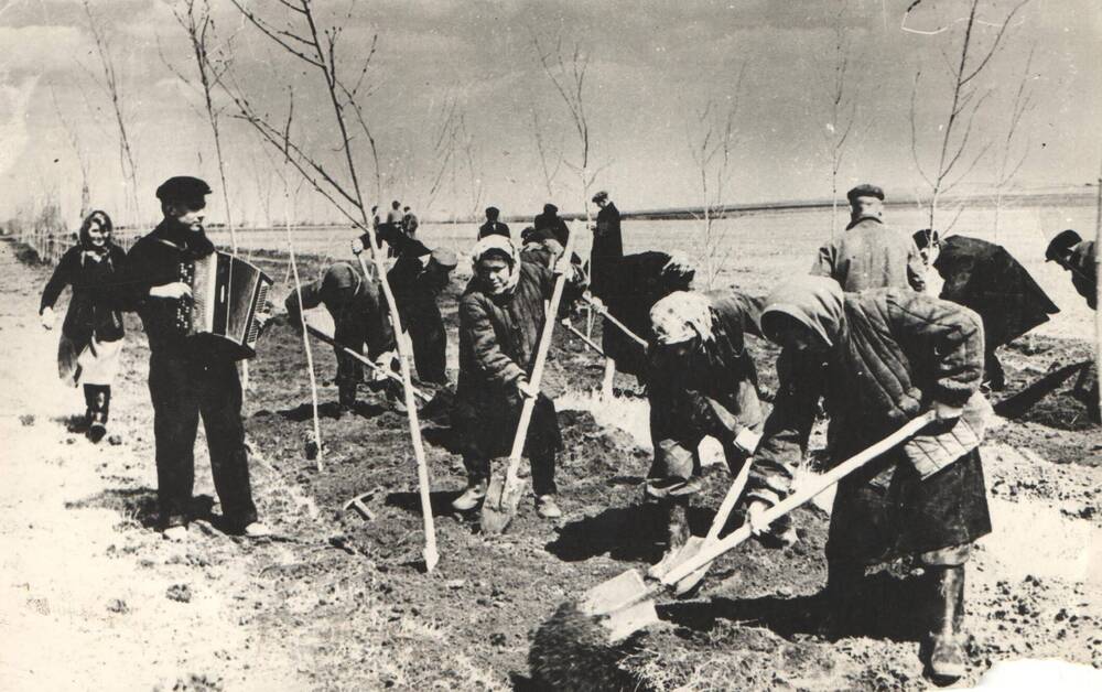 Фотография. Субботник по благоустройству и озеленению города