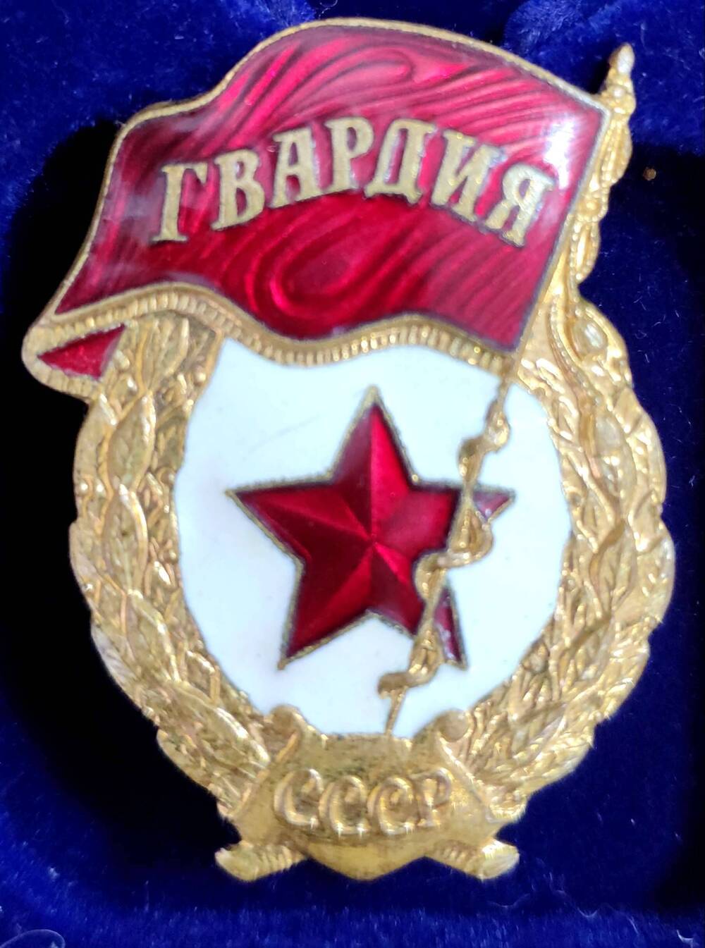 Знак  «Гвардия» Кутепова Е.В.