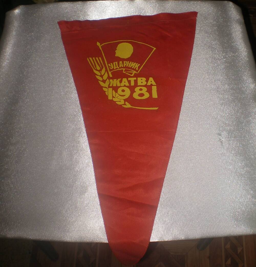 Вымпел Жатва 1981