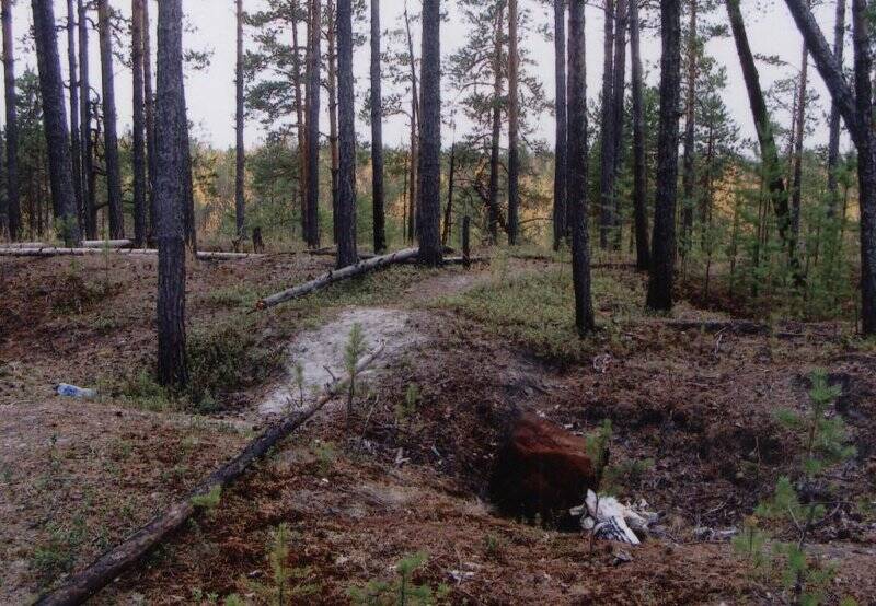 Фотография цветная. Археологический памятник, святилище Пуралнъеган 1.