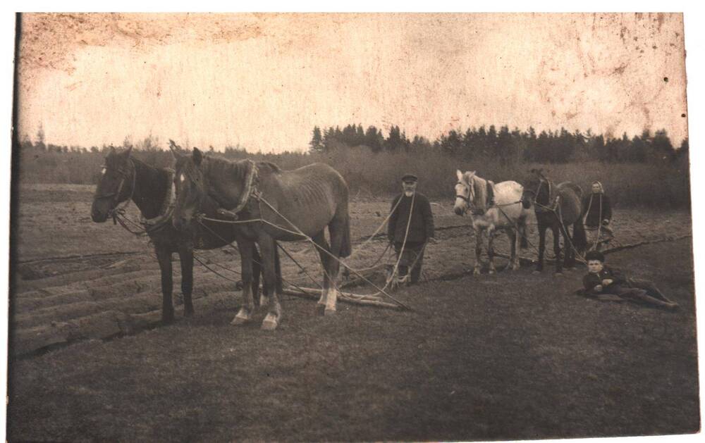 Фотография. Пахота в колхозе им.Ворошилова д.Бочары.