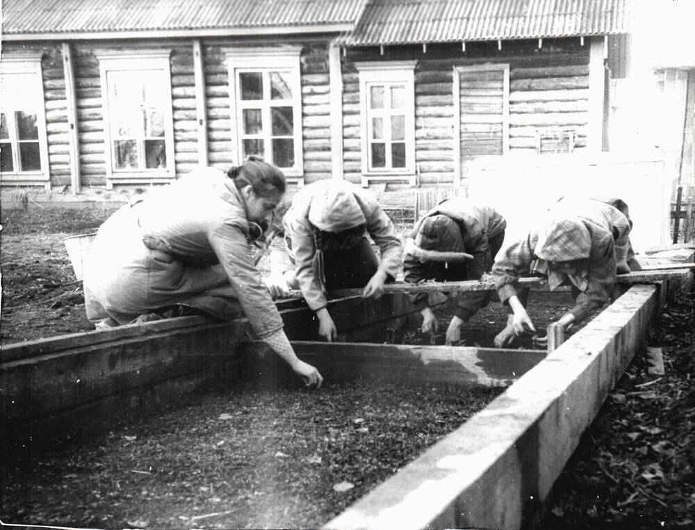 Фотография. Школа п. Аланап. Работа в парниках. ХХ век.