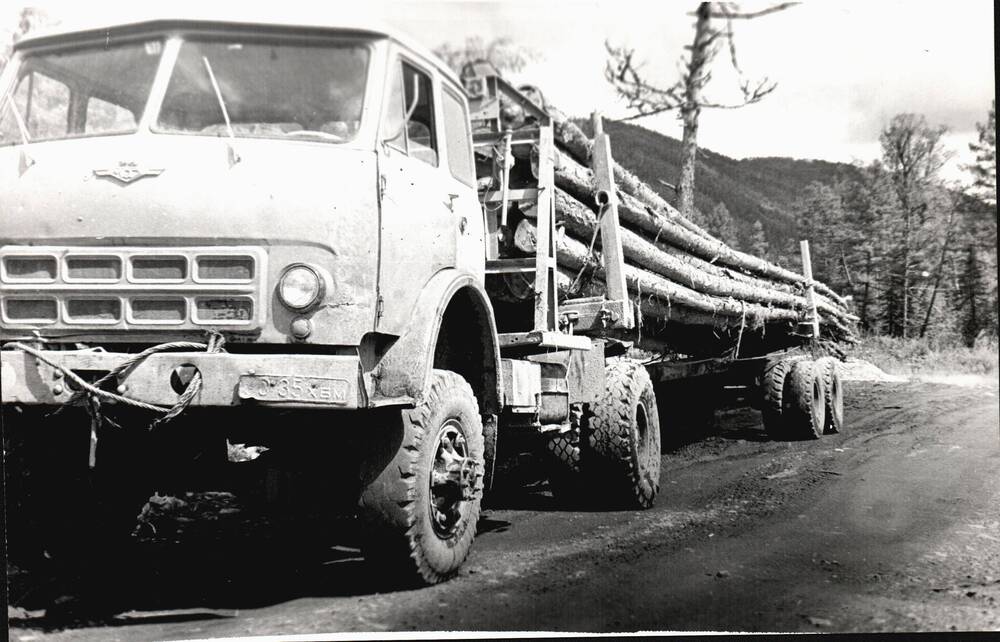 Фотография. Автомобиль «МАЗ» вывозит из тайги древесину. 1980-е гг..