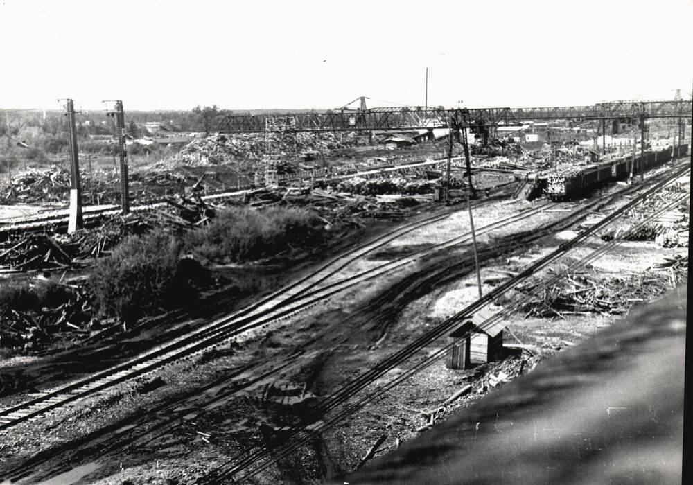 Фотография. Нижний склад Умальтинского леспромхоза. 1970-80-е гг.