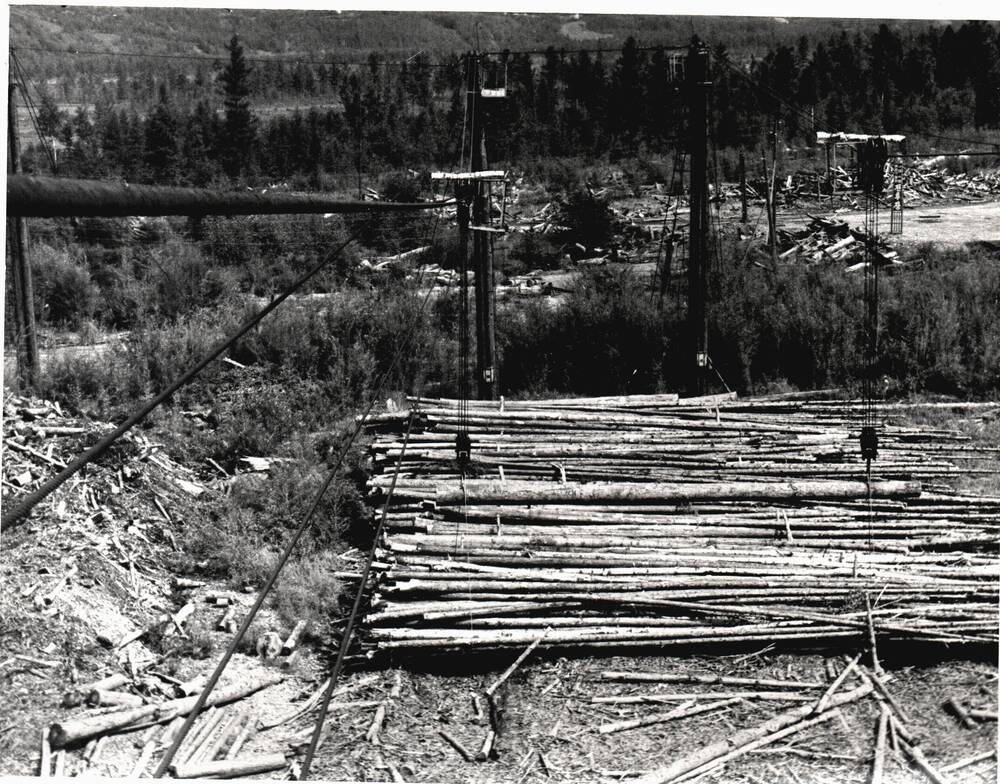 Фотография. Штабели древесины на нижнем складе Умальтинского Леспромхоза. 1980-е гг.