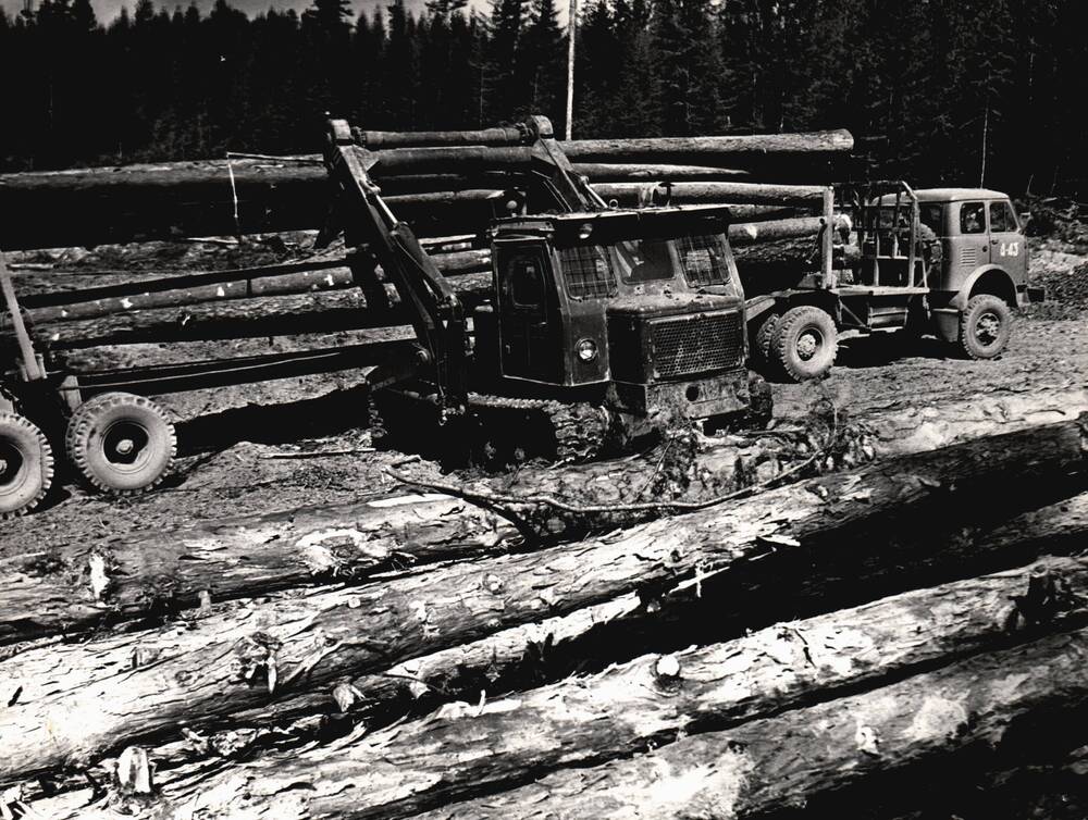 Фотография. Погрузчик «перекладывает» бревна. 1970-80-е гг.