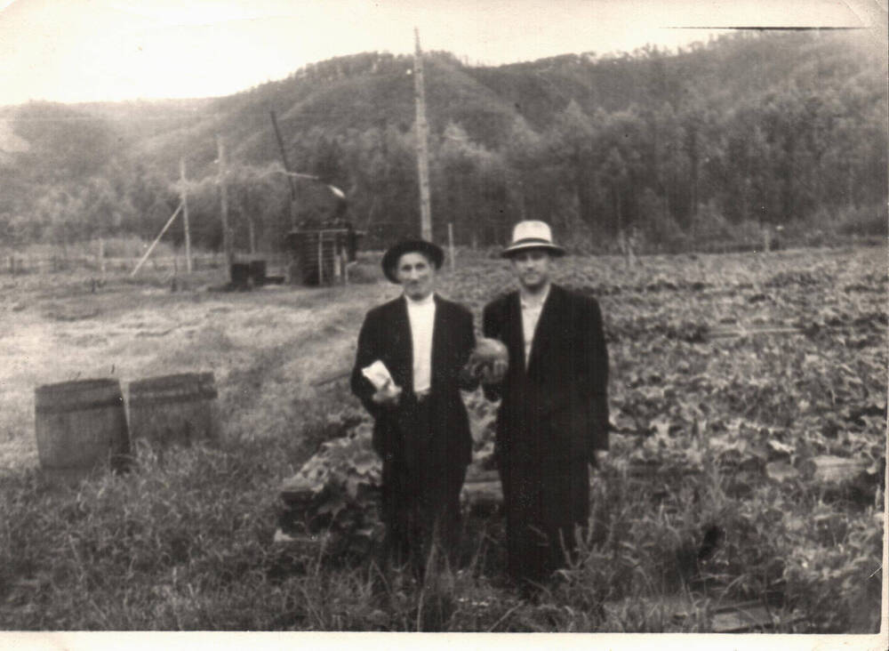 Фотография. Подсобное хозяйство Умальтинского рудника на Усть-Умальте, 1954 г.