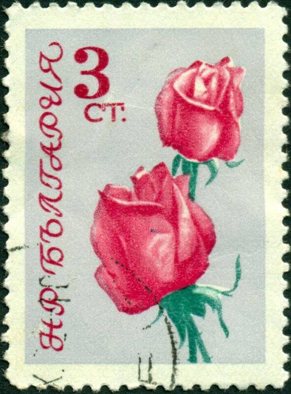 Марка почтовая. 1962 г. Достоинством 3 стотинки, серия Розы. Болгария