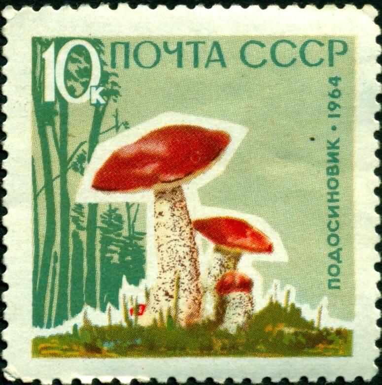 Марка почтовая. 1964 г. Достоинством 10 копеек. Серия Грибы – подосиновик.