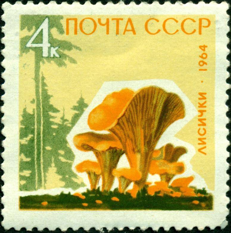 Марка почтовая. 1964 г. Достоинством 4 копейки. Серия Грибы – лисички.