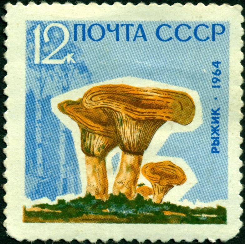 Марка почтовая. 1964 г. Достоинством 12 копеек. Серия Грибы – рыжик.