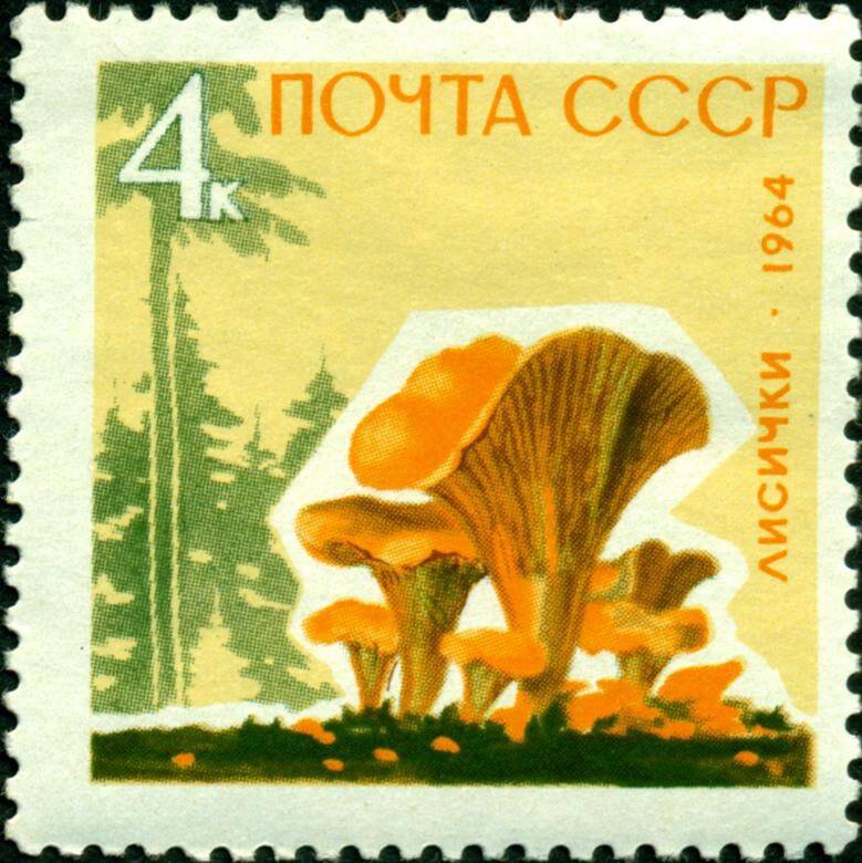 Марка почтовая. 1964 г. Достоинством 4 копейки. Серия Грибы – лисички.