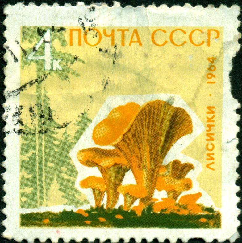 Марка почтовая. 1964 г. Достоинством 4 копейки. Серия Грибы – лисички.