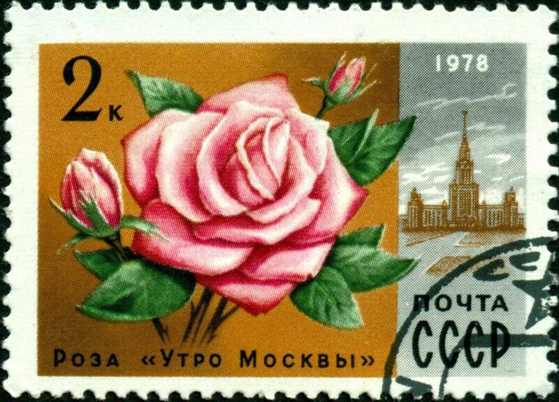 Марка почтовая. 1978 г. Достоинством 2 копейки. Роза Утро Москвы.