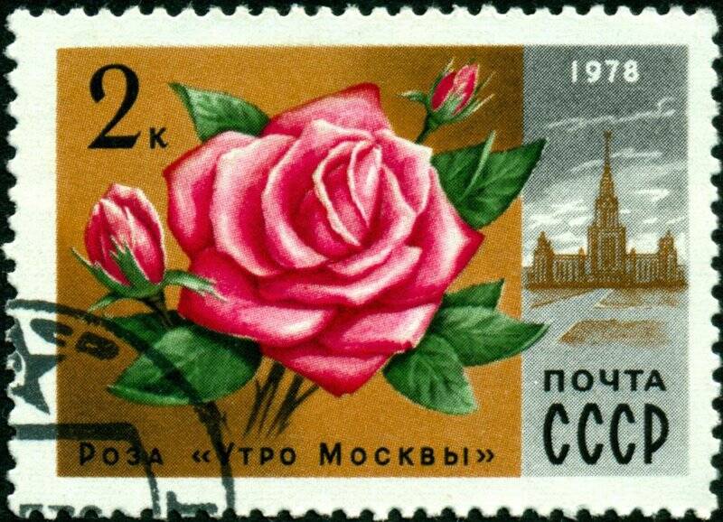 Марка почтовая. 1978 г. Достоинством 2 копейки. Роза Утро Москвы.