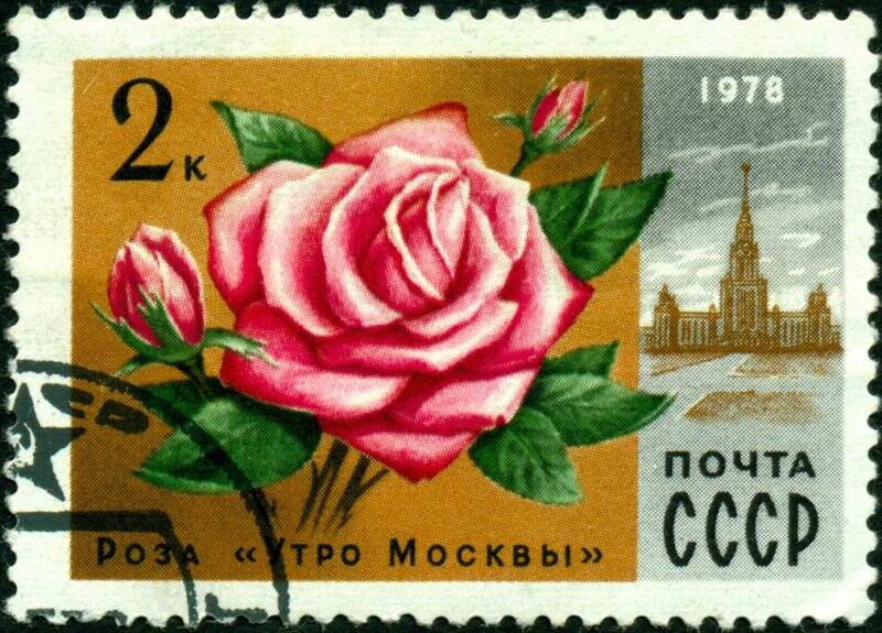 Марка почтовая. 1978 г. Достоинством 2 копейки. Роза Утро Москвы.