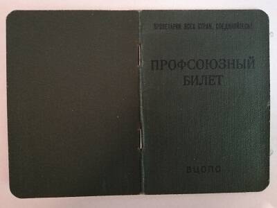 Билет профсоюзный № 34865108 на имя Смолиной Елизаветы Викторовны 29.12.1960 г