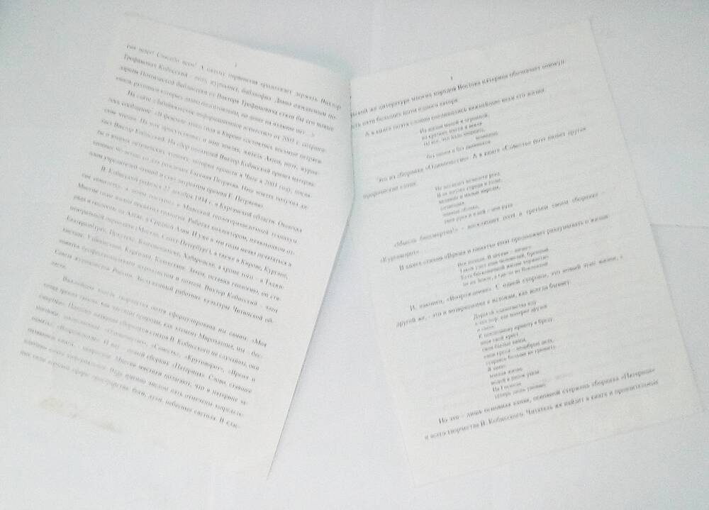 Статья В дали от столичного шума...  2009 год.