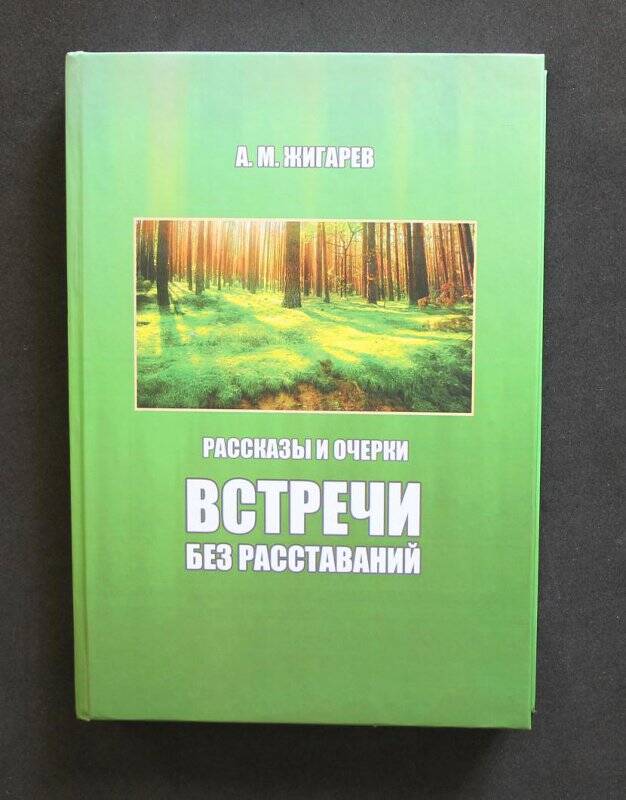 Книга «Встречи без расставаний» (рассказы и очерки), 2013.