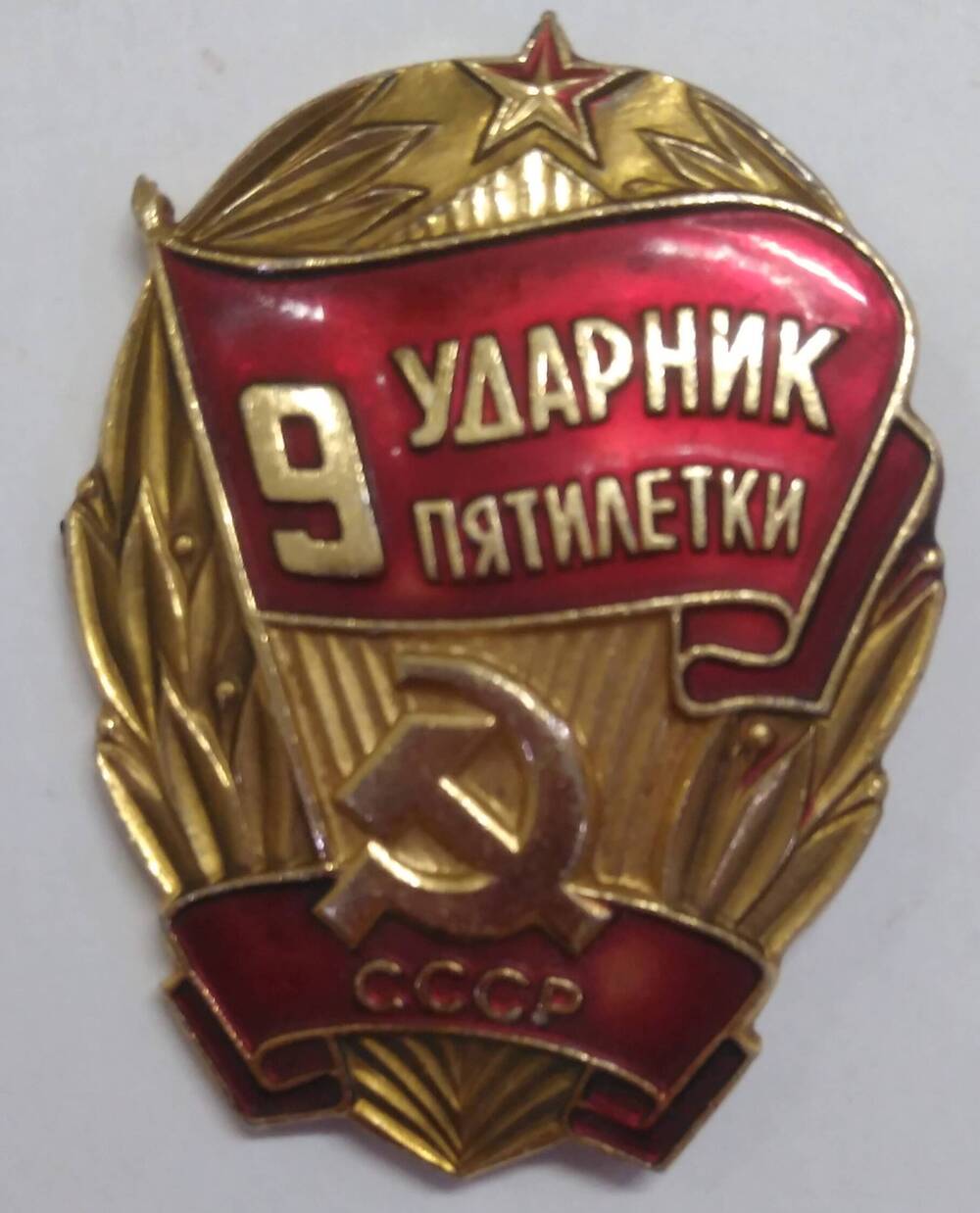 Знак нагрудный Галеева К.Г.