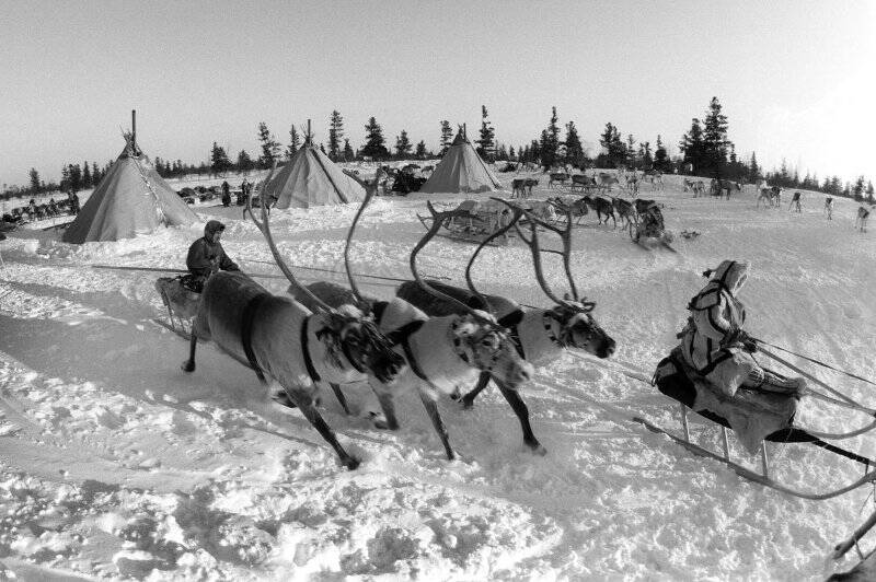 Фотография. На фоне трех чумов. Из серии Лики Севера