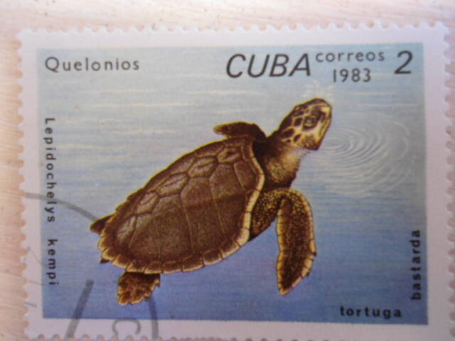 Марка из серии Куба. Черепахи 1983 год