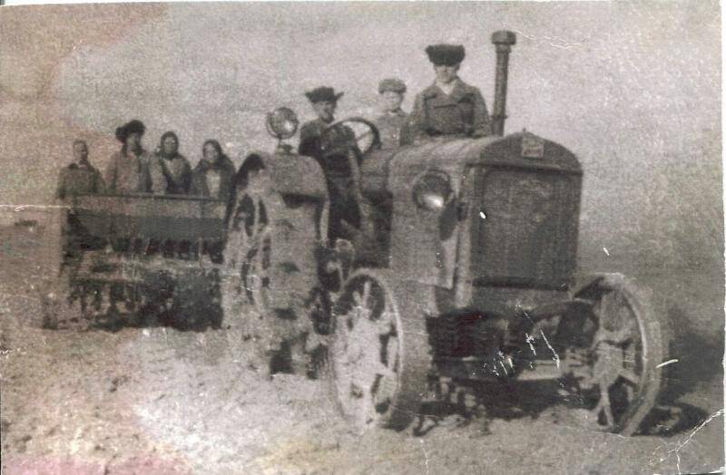 Фотография. Корзникова Мария Андреевна д. Олятово. В поле.