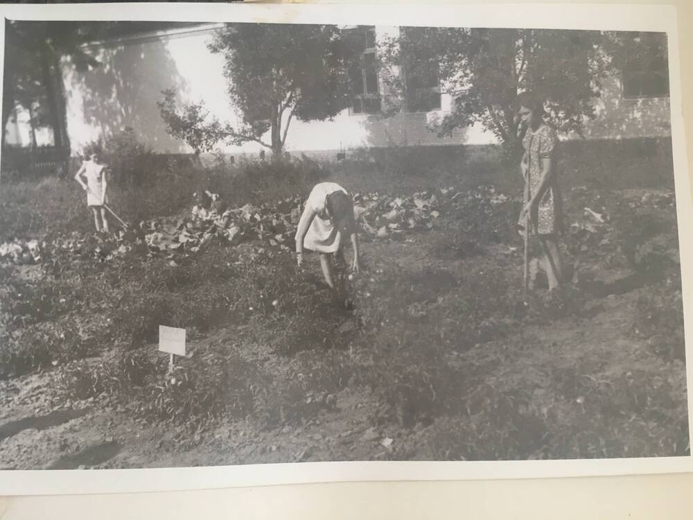 Фотография на школьном участке