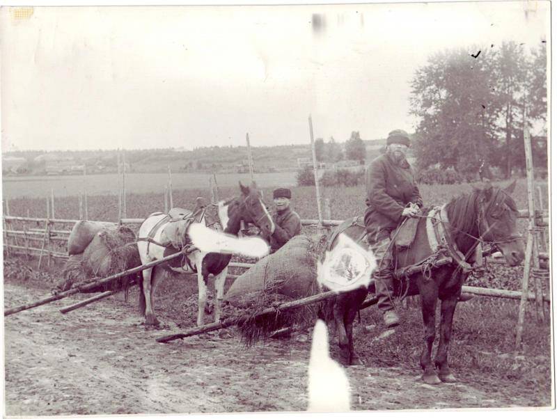 Фотография. Вывоз скошенного сена на волокушах