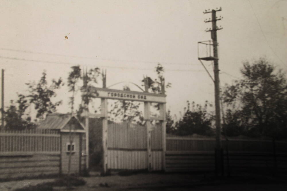 Фотография Городской сад в г. Демидов