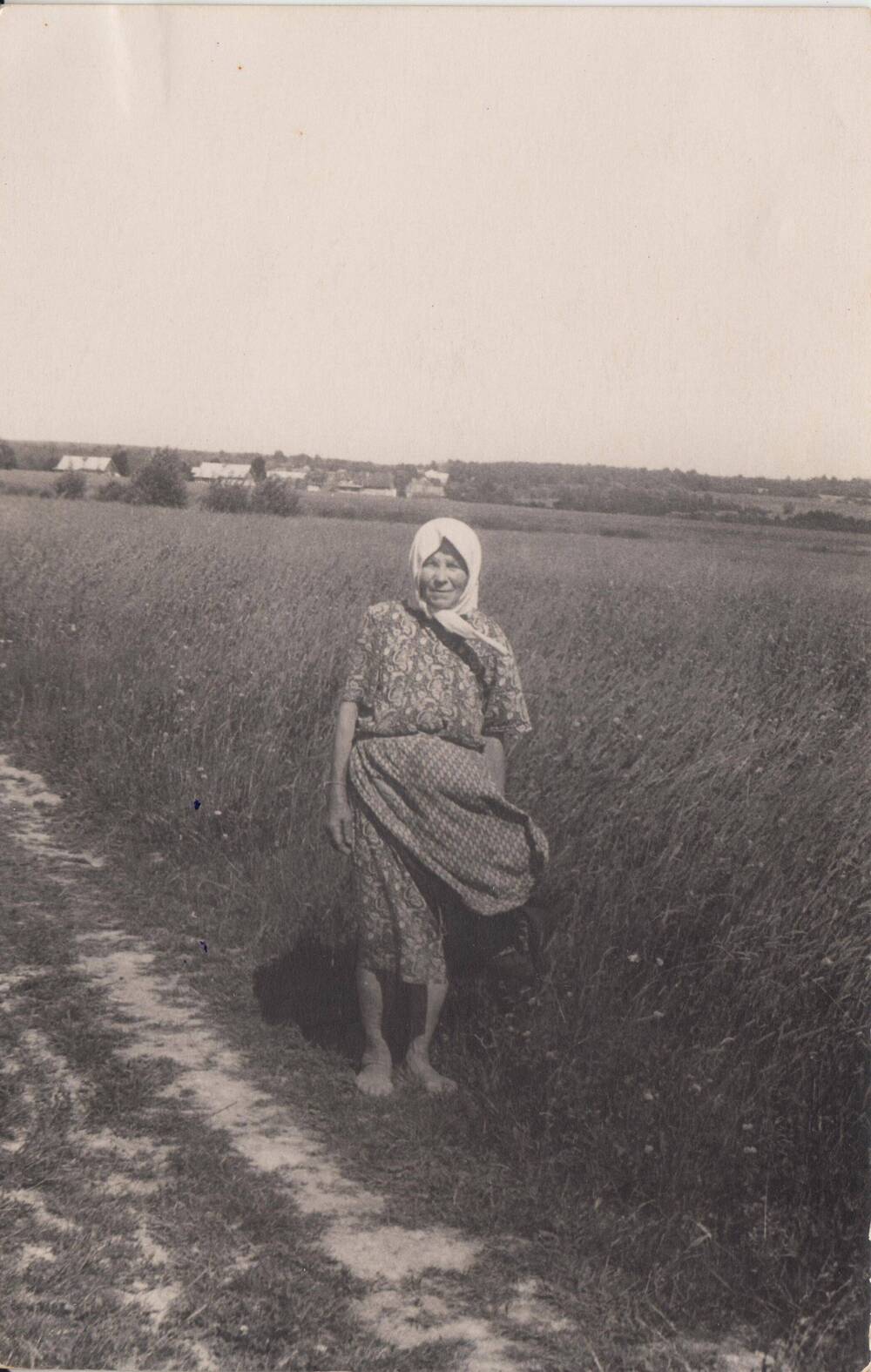 Фотография: Кузнецова Прасковья Терентьевна, сборщица молока в д. Старое Рыбино