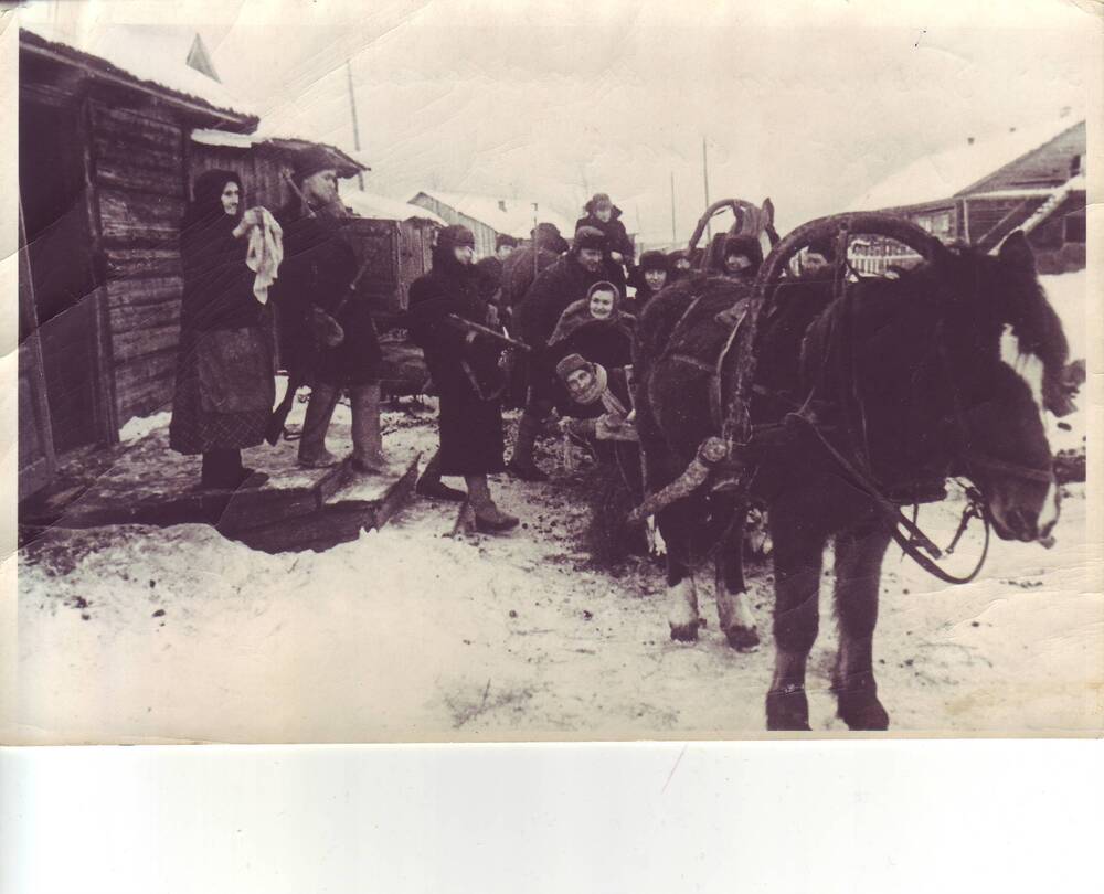 Фотография. Жители деревни  Высоковского района уходят в партизаны.1941 г.