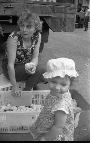 Негатив. В кадре женщина и маленькая девочка возле ящика с цыплятами.