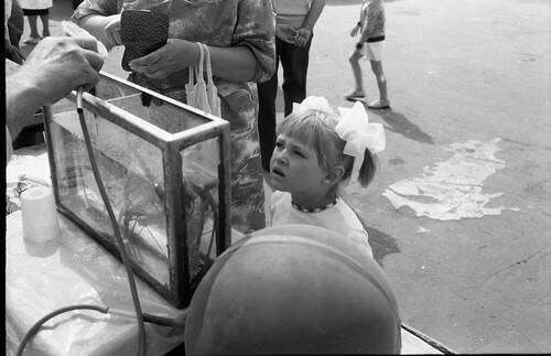 Негатив. В кадре маленькая девочка смотрит на аквариум, стоящий на прилавке.