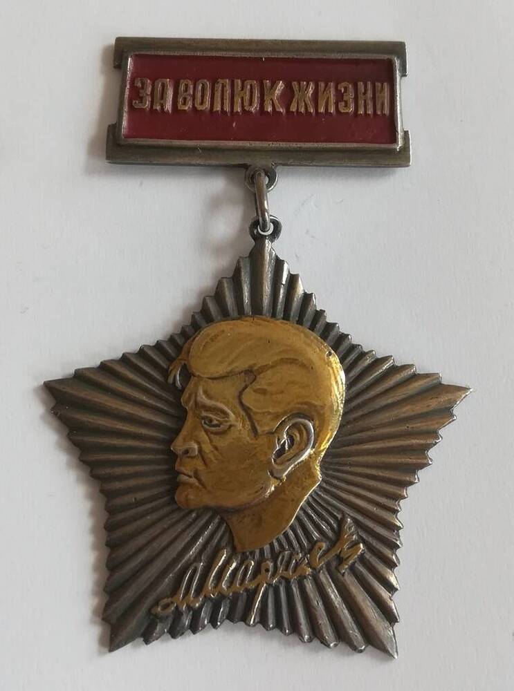 Знак памятный «За волю к жизни» Леонова И.А. 






