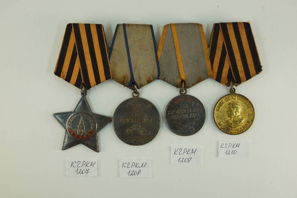 МедальЗа победу над Германией в Великой Отечественной войне 1941-1945 гг.
Стариковского П.Т.