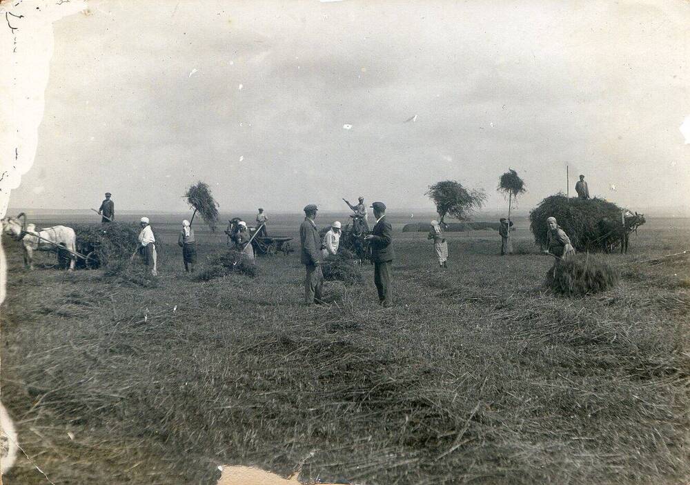 Фото сюжетное. Группа колхозников на сенокосе. 1930-е гг.