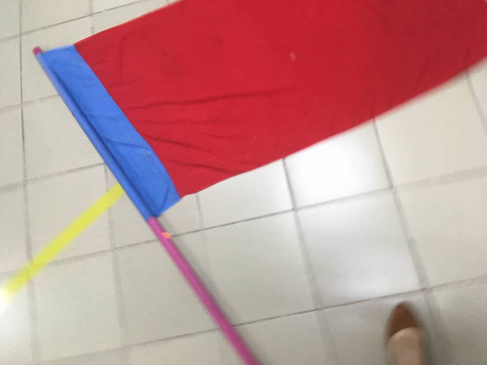 Флаг РСФСР – красное полотно с синей полосой слева вдоль древка