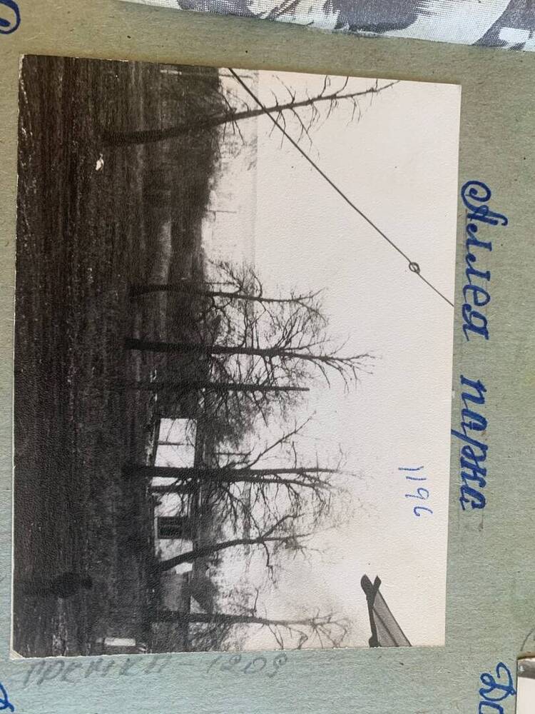 Фотография. Алея парка усадьбы Пашкова. Село Ветошкино.