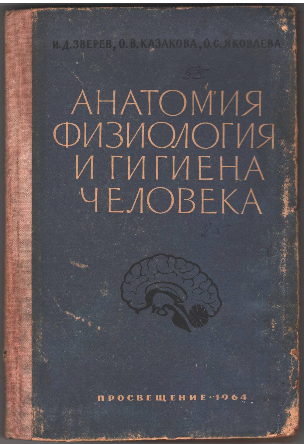 Книга Анатомия и физиология человека.