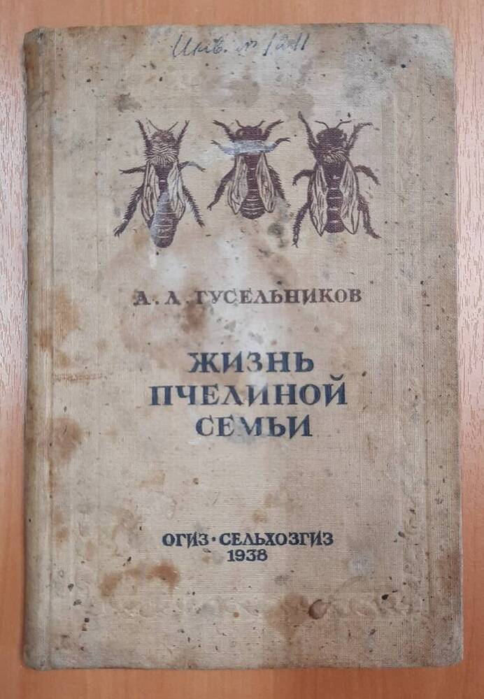 А. Л. Гусельников. Жизнь пчелиной семьи.