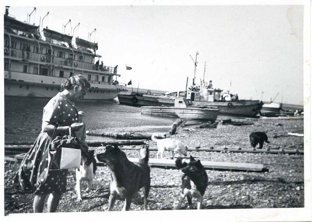 Фотография. Ариадна Эфрон с собаками. 1965 г. Из комплекта фотографий с изображением Ариадны Эфрон и др. в 1910-е -1960-е гг. Копия.
