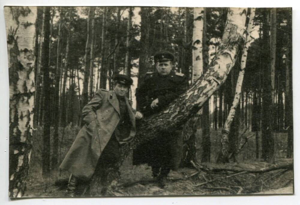 Фотография. Двое военнослужащих в лесу