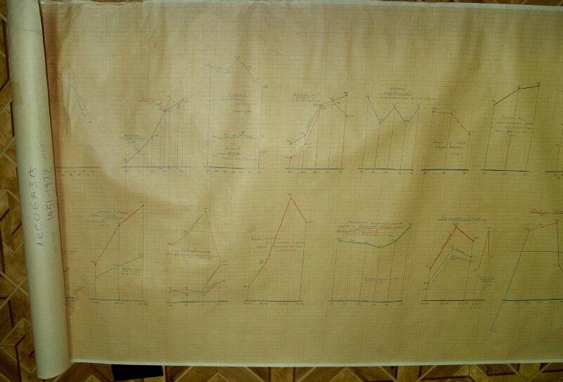 Документ. Диаграммы и планы Лесобазы 1951-1972 г.г.