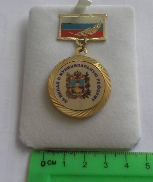 Медаль За вклад в муниципальную реформу