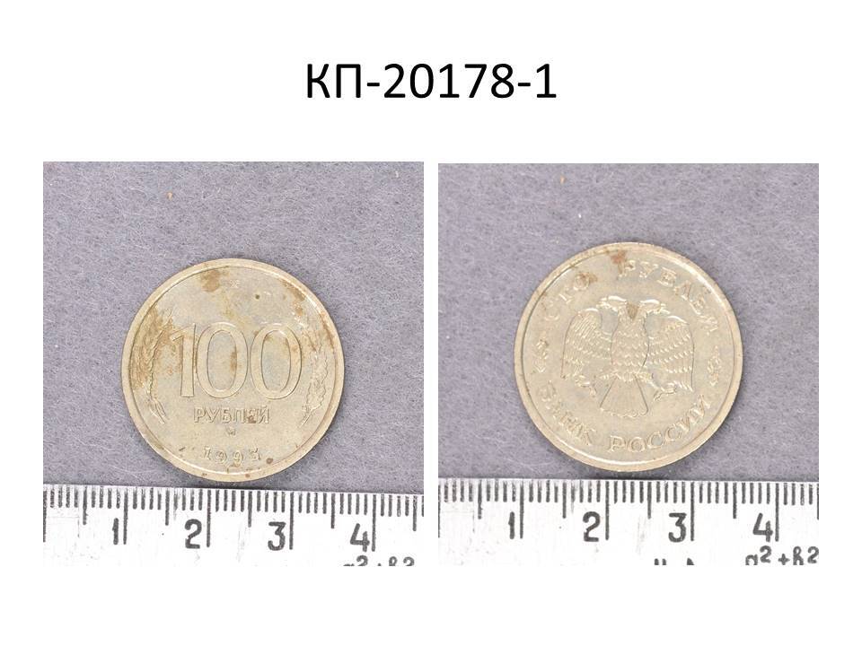 Монета 100 рублей 1993 года.