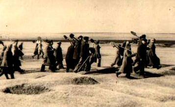 Фотография. Рабочие и служащие Петровских предприятий идут на работу по озеленению  города Петровска, 1950 г.